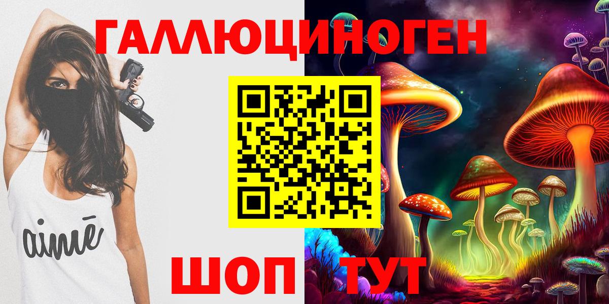 Псилоцибиновые грибы Psilocybe Октябрьский