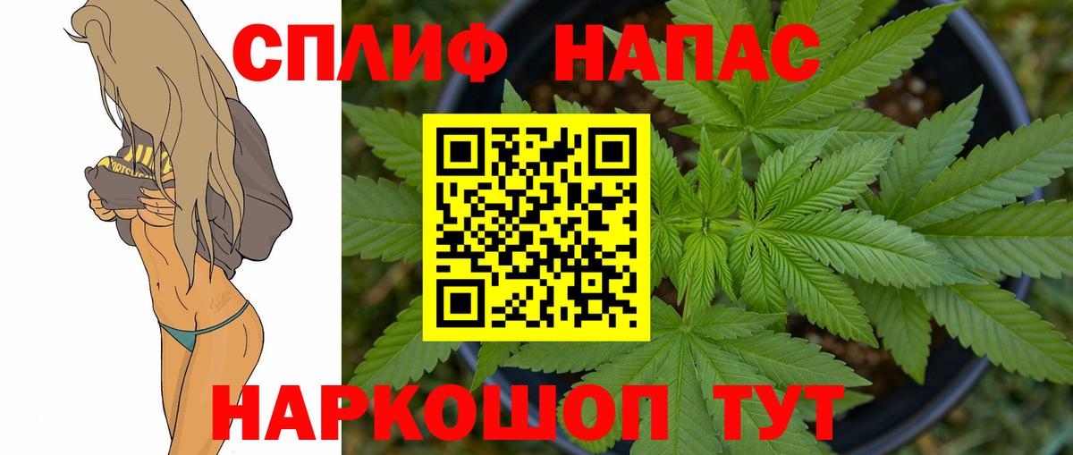 Бошки Шишки сатива Октябрьский